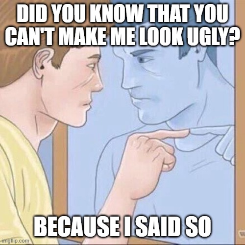 I made them look ugly | DID YOU KNOW THAT YOU CAN'T MAKE ME LOOK UGLY? BECAUSE I SAID SO | image tagged in pointing mirror guy,memes,funny | made w/ Imgflip meme maker