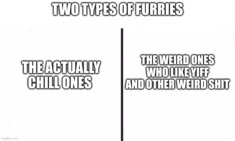 Two types of furries | TWO TYPES OF FURRIES; THE WEIRD ONES WHO LIKE YIFF AND OTHER WEIRD SHIT; THE ACTUALLY CHILL ONES | image tagged in memes | made w/ Imgflip meme maker