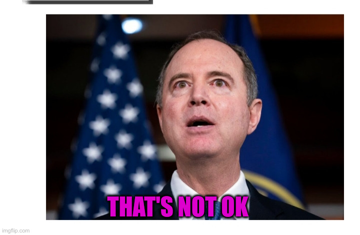 Adam Schiff, fake impeachment | THAT'S NOT OK | image tagged in adam schiff fake impeachment | made w/ Imgflip meme maker