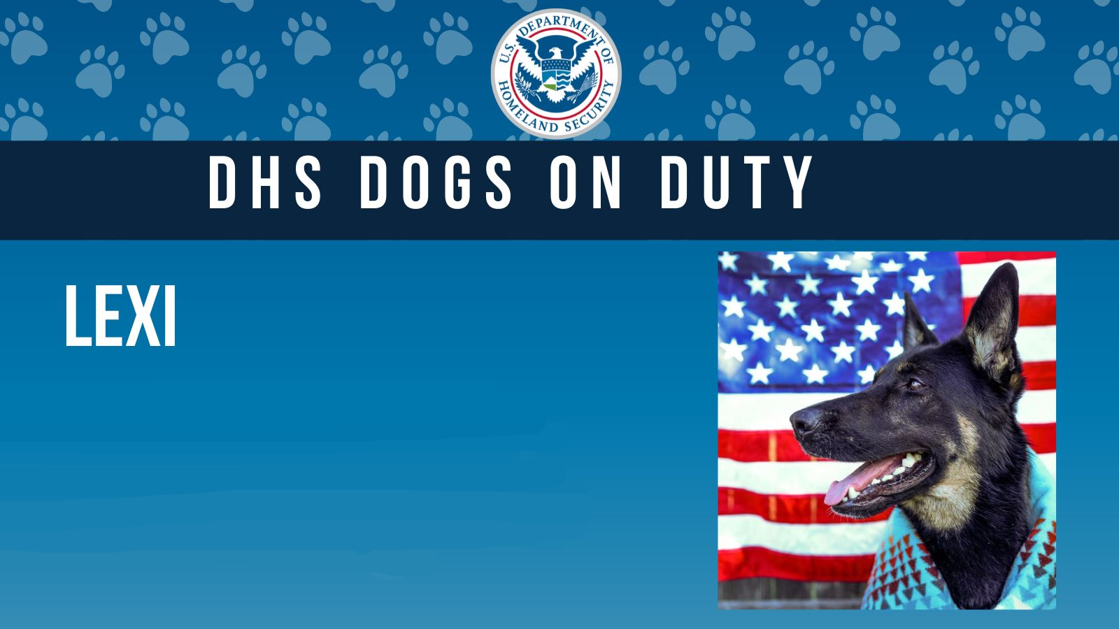 DHS Dog Scare of Noem Blank Meme Template