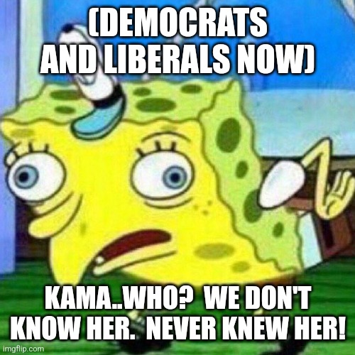 triggerpaul | (DEMOCRATS AND LIBERALS NOW) KAMA..WHO?  WE DON'T KNOW HER.  NEVER KNEW HER! | image tagged in triggerpaul | made w/ Imgflip meme maker