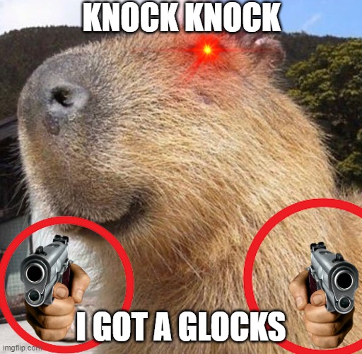 capy got guns | KNOCK KNOCK; I GOT A GLOCKS | image tagged in capy blappy | made w/ Imgflip meme maker