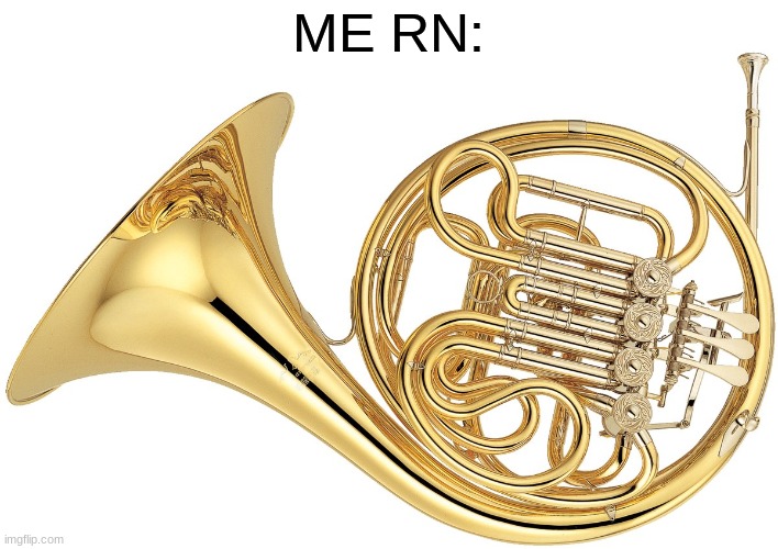 ME RN: | made w/ Imgflip meme maker
