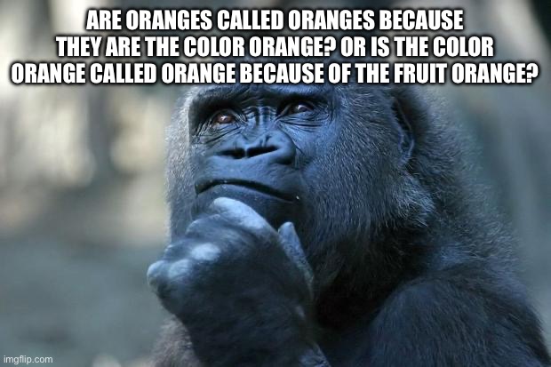 Think about it | ARE ORANGES CALLED ORANGES BECAUSE THEY ARE THE COLOR ORANGE? OR IS THE COLOR ORANGE CALLED ORANGE BECAUSE OF THE FRUIT ORANGE? | image tagged in deep thoughts | made w/ Imgflip meme maker