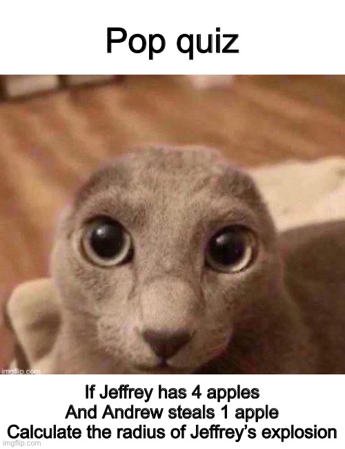 I’m all ears | Pop quiz; If Jeffrey has 4 apples
And Andrew steals 1 apple
Calculate the radius of Jeffrey’s explosion | image tagged in lucotics balls are horrifically huge | made w/ Imgflip meme maker