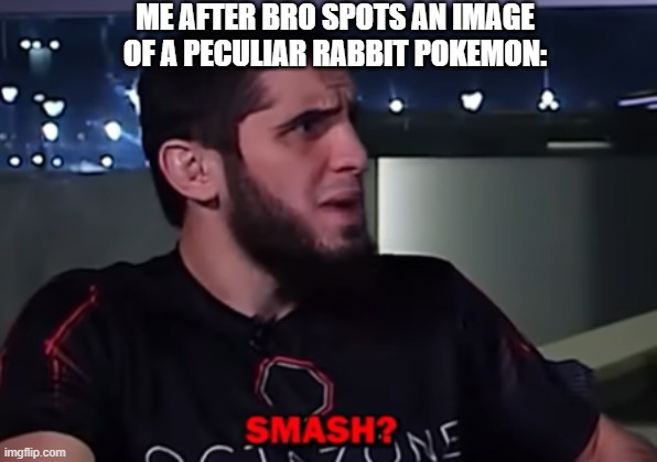 Ong bro be wildin ? | ME AFTER BRO SPOTS AN IMAGE OF A PECULIAR RABBIT POKEMON: | image tagged in islam makhachev smash,gaming,fun,smash,pokemon | made w/ Imgflip meme maker