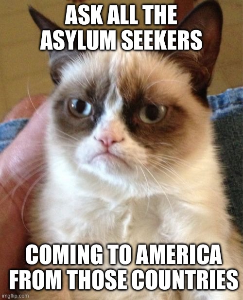 Grumpy Cat Meme | ASK ALL THE ASYLUM SEEKERS COMING TO AMERICA FROM THOSE COUNTRIES | image tagged in memes,grumpy cat | made w/ Imgflip meme maker