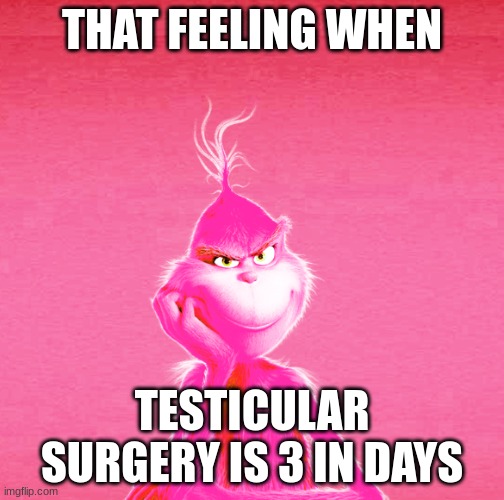 THAT FEELING WHEN | THAT FEELING WHEN; TESTICULAR SURGERY IS 3 IN DAYS | image tagged in that feeling when | made w/ Imgflip meme maker