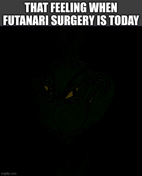 Grinch Smile | THAT FEELING WHEN FUTANARI SURGERY IS TODAY | image tagged in grinch smile | made w/ Imgflip meme maker