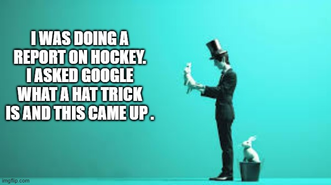 memes by Brad - I googled "hat trick" for hockey and this came up | I WAS DOING A REPORT ON HOCKEY. I ASKED GOOGLE WHAT A HAT TRICK IS AND THIS CAME UP . | image tagged in funny,sports,hockey,magician,humor,play on words | made w/ Imgflip meme maker