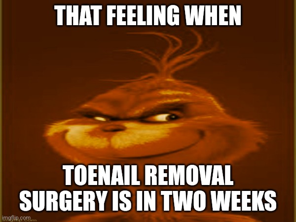 THAT FEELING WHEN; TOENAIL REMOVAL SURGERY IS IN TWO WEEKS | made w/ Imgflip meme maker