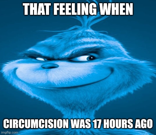 Blue Grinch | THAT FEELING WHEN; CIRCUMCISION WAS 17 HOURS AGO | image tagged in blue grinch | made w/ Imgflip meme maker