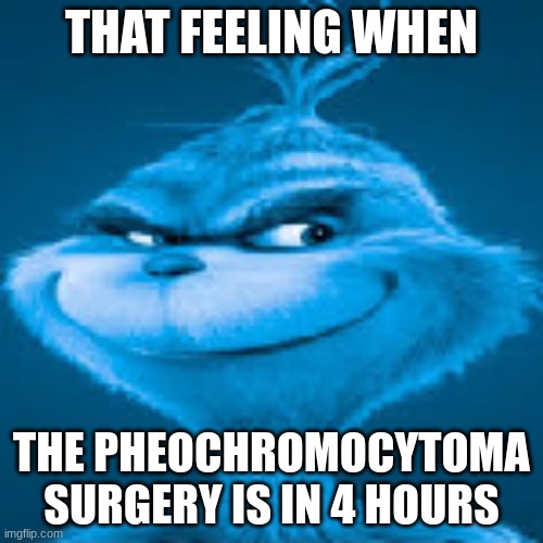 new template | THAT FEELING WHEN; THE PHEOCHROMOCYTOMA SURGERY IS IN 4 HOURS | image tagged in gifs,memes,funny,knee surgery | made w/ Imgflip meme maker