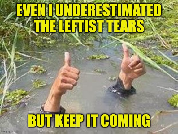 Lefty tears causing flooding on both coasts | EVEN I UNDERESTIMATED THE LEFTIST TEARS; BUT KEEP IT COMING | image tagged in flooding thumbs up,hahahahahaha,f your rage snowflake,remember we can no longer agree to disagree | made w/ Imgflip meme maker