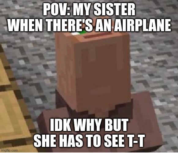 Minecraft Villager Looking Up | POV: MY SISTER WHEN THERE'S AN AIRPLANE; IDK WHY BUT SHE HAS TO SEE T-T | image tagged in minecraft villager looking up,funny,minecraft,minecraft villagers | made w/ Imgflip meme maker