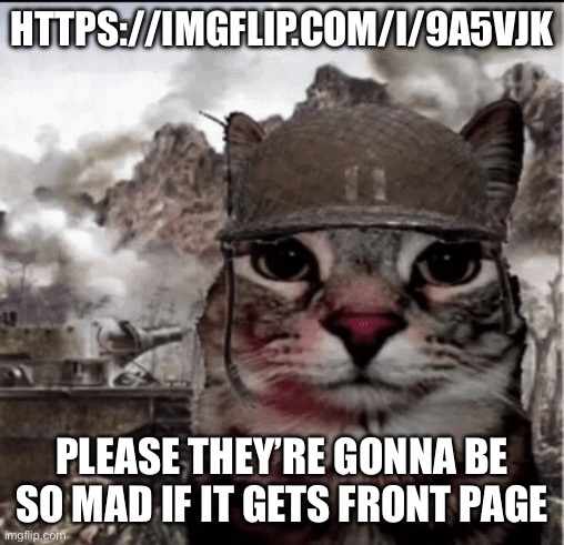Thousand yard stare cat | HTTPS://IMGFLIP.COM/I/9A5VJK; PLEASE THEY’RE GONNA BE SO MAD IF IT GETS FRONT PAGE | image tagged in thousand yard stare cat | made w/ Imgflip meme maker