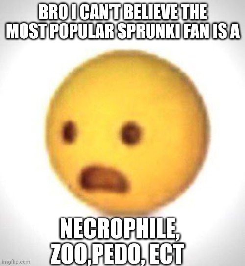 Shocked emoji | BRO I CAN'T BELIEVE THE MOST POPULAR SPRUNKI FAN IS A; NECROPHILE, ZOO,PEDO, ECT | image tagged in shocked emoji | made w/ Imgflip meme maker