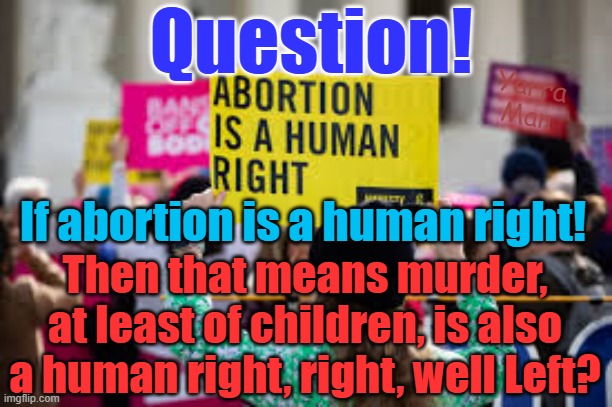 Crikey so if abortion is a human right, so is the option of  murdering your kids, right? | Question! Yarra Man; If abortion is a human right! Then that means murder, at least of children, is also a human right, right, well Left? | image tagged in responsibility,birth control,democrats,leftist thinking,stupid,murder | made w/ Imgflip meme maker