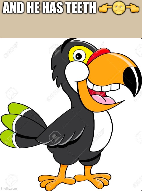 Toucan with Teeth | AND HE HAS TEETH ??? | image tagged in toucan with teeth | made w/ Imgflip meme maker