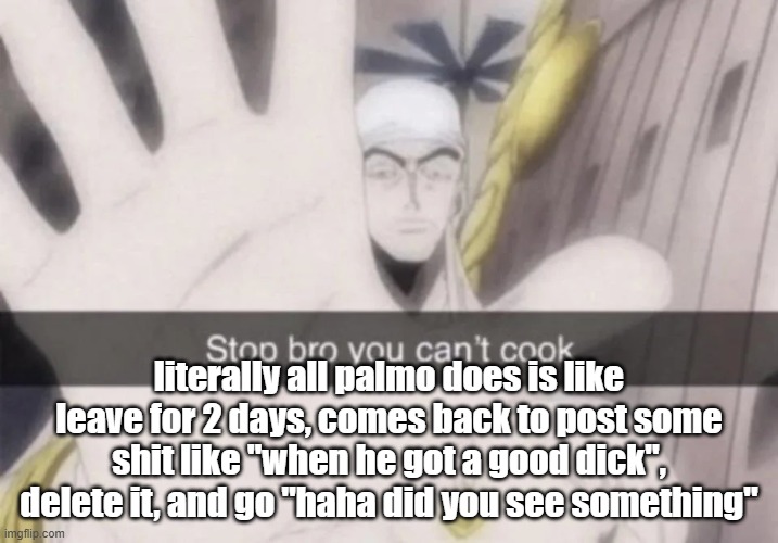 Stop bro you can't cook | literally all palmo does is like leave for 2 days, comes back to post some shit like "when he got a good dick", delete it, and go "haha did you see something" | image tagged in stop bro you can't cook | made w/ Imgflip meme maker