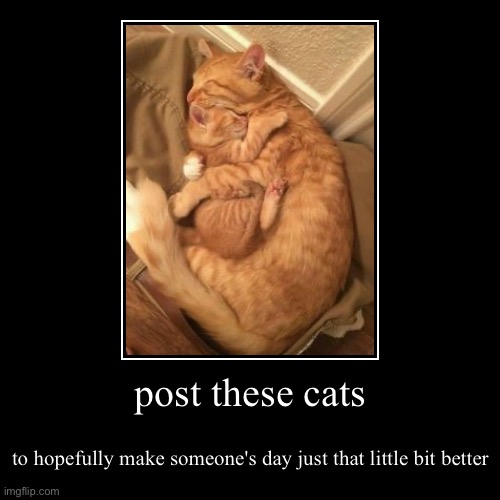 a lot of us are going through it right now. so i figured i might as well try to make at least one person's day just that little  | post these cats | to hopefully make someone's day just that little bit better | image tagged in funny,demotivationals | made w/ Imgflip demotivational maker