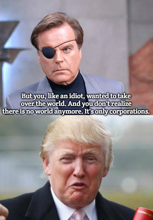 But you, like an idiot, wanted to take over the world. And you don't realize there is no world anymore. It's only corporations. | image tagged in number 2,trump crybaby,trump | made w/ Imgflip meme maker