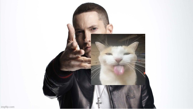 the last thing the weird dog cube sees as I press the F key (this meme is about an obscure roblox game loll) | image tagged in eminem throwing things | made w/ Imgflip meme maker