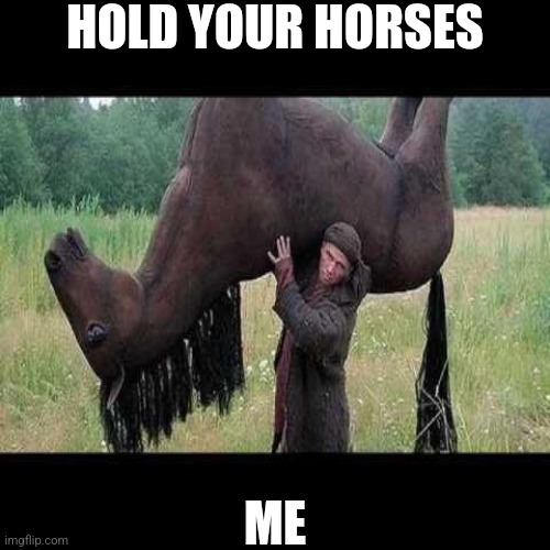 Me | HOLD YOUR HORSES; ME | image tagged in hold your horses,memes,meme,funny | made w/ Imgflip meme maker