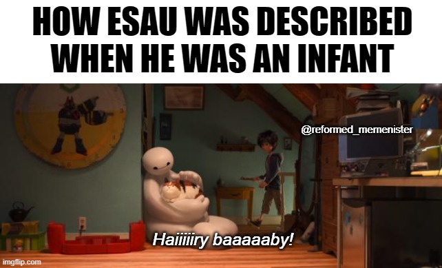 Hairy Baby Baymax | HOW ESAU WAS DESCRIBED WHEN HE WAS AN INFANT; @reformed_memenister; Haiiiiiry baaaaaby! | image tagged in hairy baby baymax | made w/ Imgflip meme maker