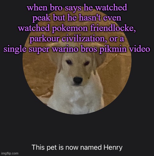say hi to Henry | when bro says he watched peak but he hasn't even watched pokemon friendlocke, parkour civilization, or a single super warino bros pikmin video | image tagged in say hi to henry | made w/ Imgflip meme maker
