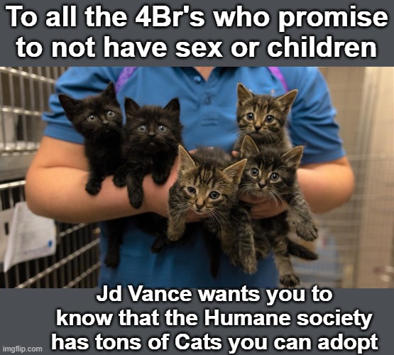 Kitties Up for Adoption | To all the 4Br's who promise to not have sex or children Jd Vance wants you to know that the Humane society has tons of Cats you can adopt | image tagged in kitties up for adoption,4b | made w/ Imgflip meme maker