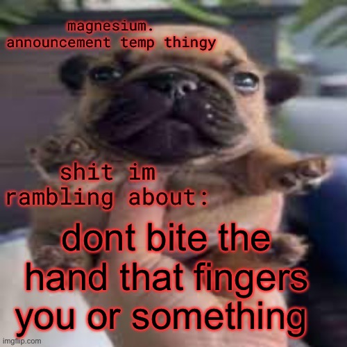 pug temp | dont bite the hand that fingers you or something | image tagged in pug temp | made w/ Imgflip meme maker