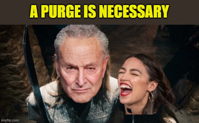 the DNC needs to clean house | A PURGE IS NECESSARY | image tagged in dnc,chuck schumer,aoc,maxine waters,liberal logic,tds | made w/ Imgflip meme maker