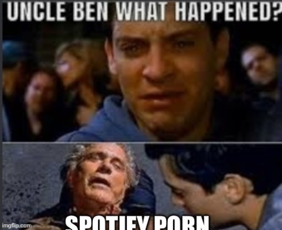 Spotify porn | image tagged in spotify porn | made w/ Imgflip meme maker