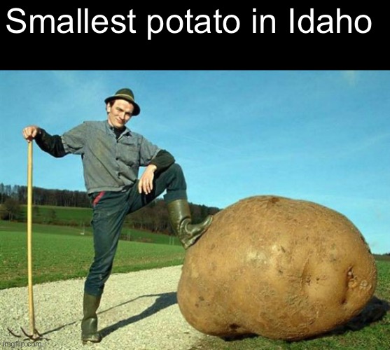 potato farmer | Smallest potato in Idaho | image tagged in potato farmer | made w/ Imgflip meme maker