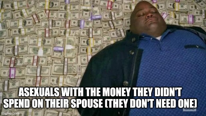 huell money | ASEXUALS WITH THE MONEY THEY DIDN'T SPEND ON THEIR SPOUSE (THEY DON'T NEED ONE) | image tagged in huell money | made w/ Imgflip meme maker