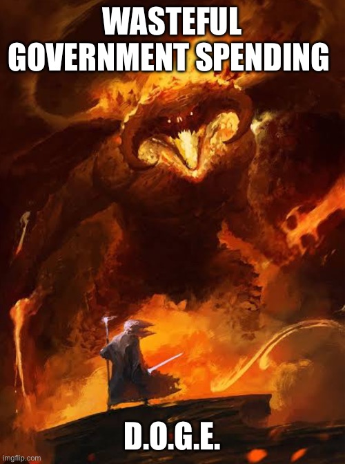 WASTEFUL GOVERNMENT SPENDING; D.O.G.E. | made w/ Imgflip meme maker