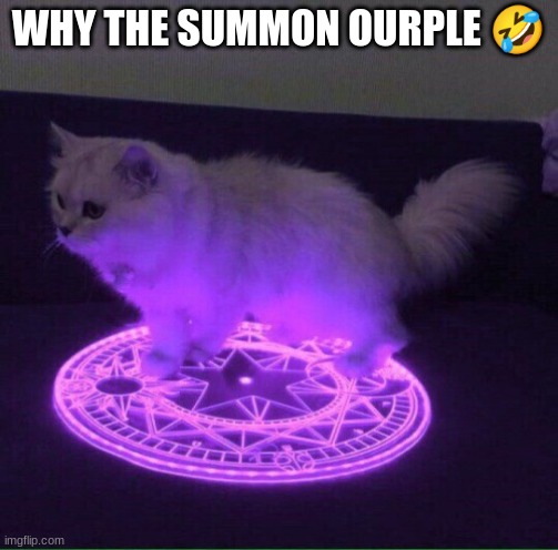 Who has summoned the almighty one | WHY THE SUMMON OURPLE 🤣 | image tagged in who has summoned the almighty one | made w/ Imgflip meme maker