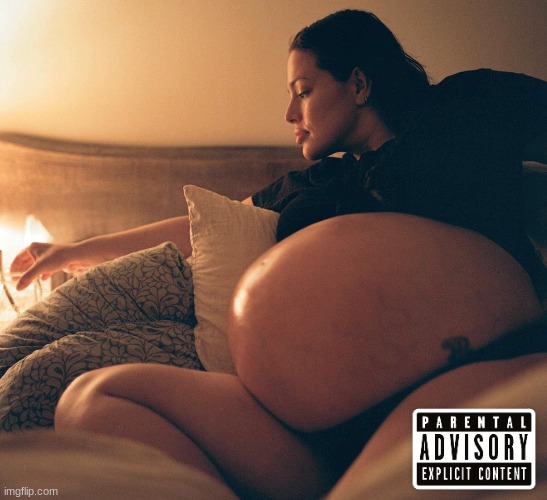 proof that anything can be an album cover pt. 5 | image tagged in pregnant,album | made w/ Imgflip meme maker