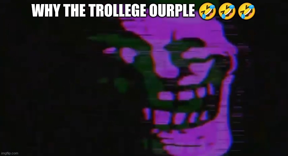 ourple tomfoolery | WHY THE TROLLEGE OURPLE 🤣🤣🤣 | image tagged in purple tomfoolery | made w/ Imgflip meme maker