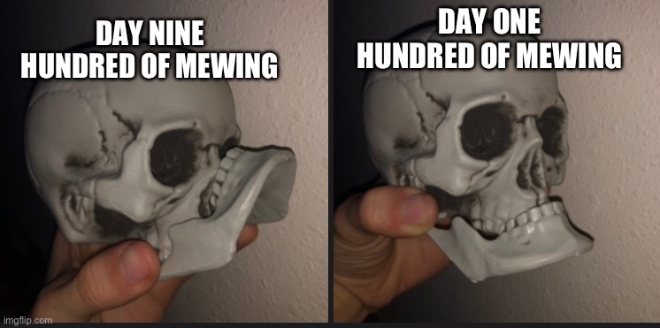 DAY NINE HUNDRED OF MEWING; DAY ONE HUNDRED OF MEWING | made w/ Imgflip meme maker