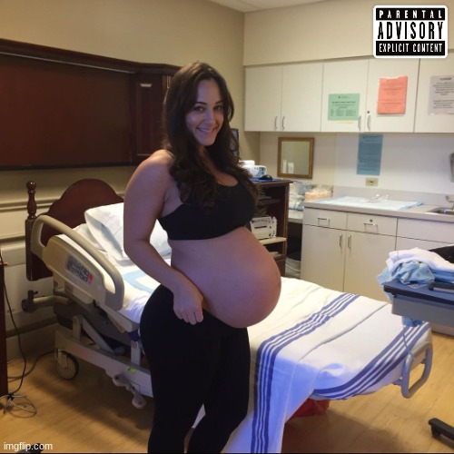 proof that anything can be an album cover pt. 6 | image tagged in pregnant,album | made w/ Imgflip meme maker