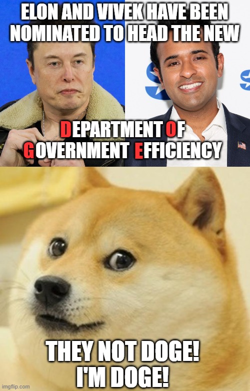 ELON AND VIVEK HAVE BEEN NOMINATED TO HEAD THE NEW; D; EPARTMENT    F    OVERNMENT    FFICIENCY; O; G; E; THEY NOT DOGE!
I'M DOGE! | image tagged in memes,doge,elon musk | made w/ Imgflip meme maker