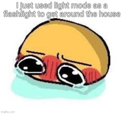 amb shamb bbbmba | I just used light mode as a flashlight to get around the house | image tagged in amb shamb bbbmba | made w/ Imgflip meme maker