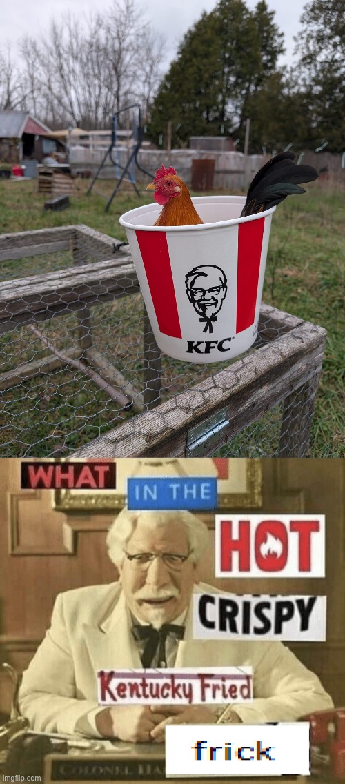 Rooster | image tagged in what in the hot crispy kentucky fried frick,rooster,kfc | made w/ Imgflip meme maker