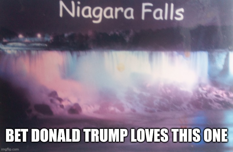 . | BET DONALD TRUMP LOVES THIS ONE | image tagged in niagara falls | made w/ Imgflip meme maker