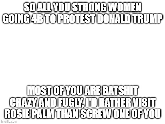 Blank White Template | SO ALL YOU STRONG WOMEN GOING 4B TO PROTEST DONALD TRUMP; MOST OF YOU ARE BATSHIT CRAZY AND FUGLY, I'D RATHER VISIT ROSIE PALM THAN SCREW ONE OF YOU | image tagged in blank white template | made w/ Imgflip meme maker