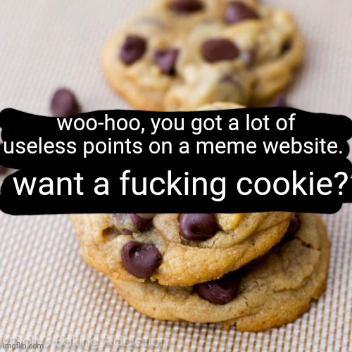 . | woo-hoo, you got a lot of useless points on a meme website. want a fucking cookie? | made w/ Imgflip meme maker