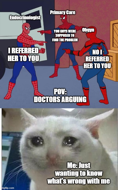 Primary Care; Endocrinologist; Obgyn; YOU GUYS WERE SUPPOSED TO FIND THE PROBLEM; I REFERRED HER TO YOU; NO I REFERRED HER TO YOU; POV: DOCTORS ARGUING; Me: Just wanting to know what's wrong with me | image tagged in spider man triple,crying cat | made w/ Imgflip meme maker