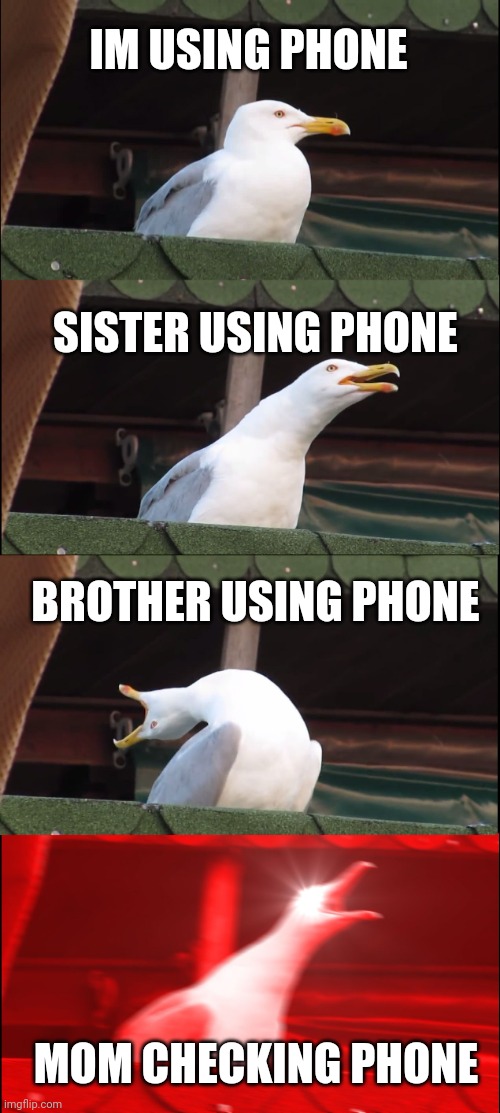 Inhaling Seagull | IM USING PHONE; SISTER USING PHONE; BROTHER USING PHONE; MOM CHECKING PHONE | image tagged in memes,inhaling seagull,insanity | made w/ Imgflip meme maker